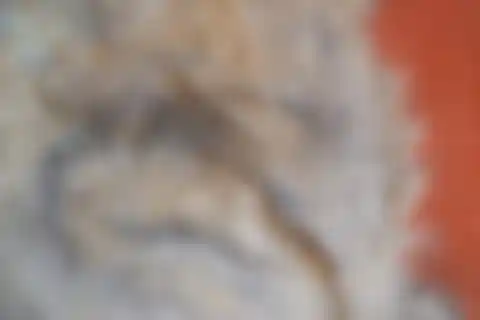 Jésus revient- Détail 4